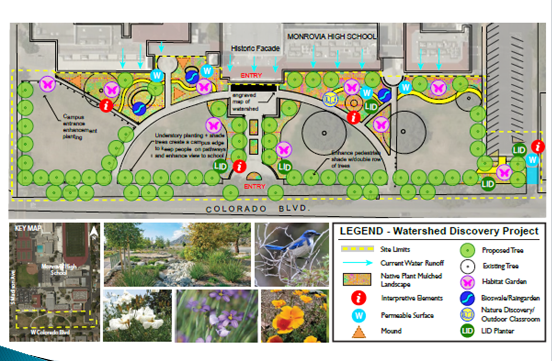 Here is a map showing the changes coming to the greenery in front  of MHS.